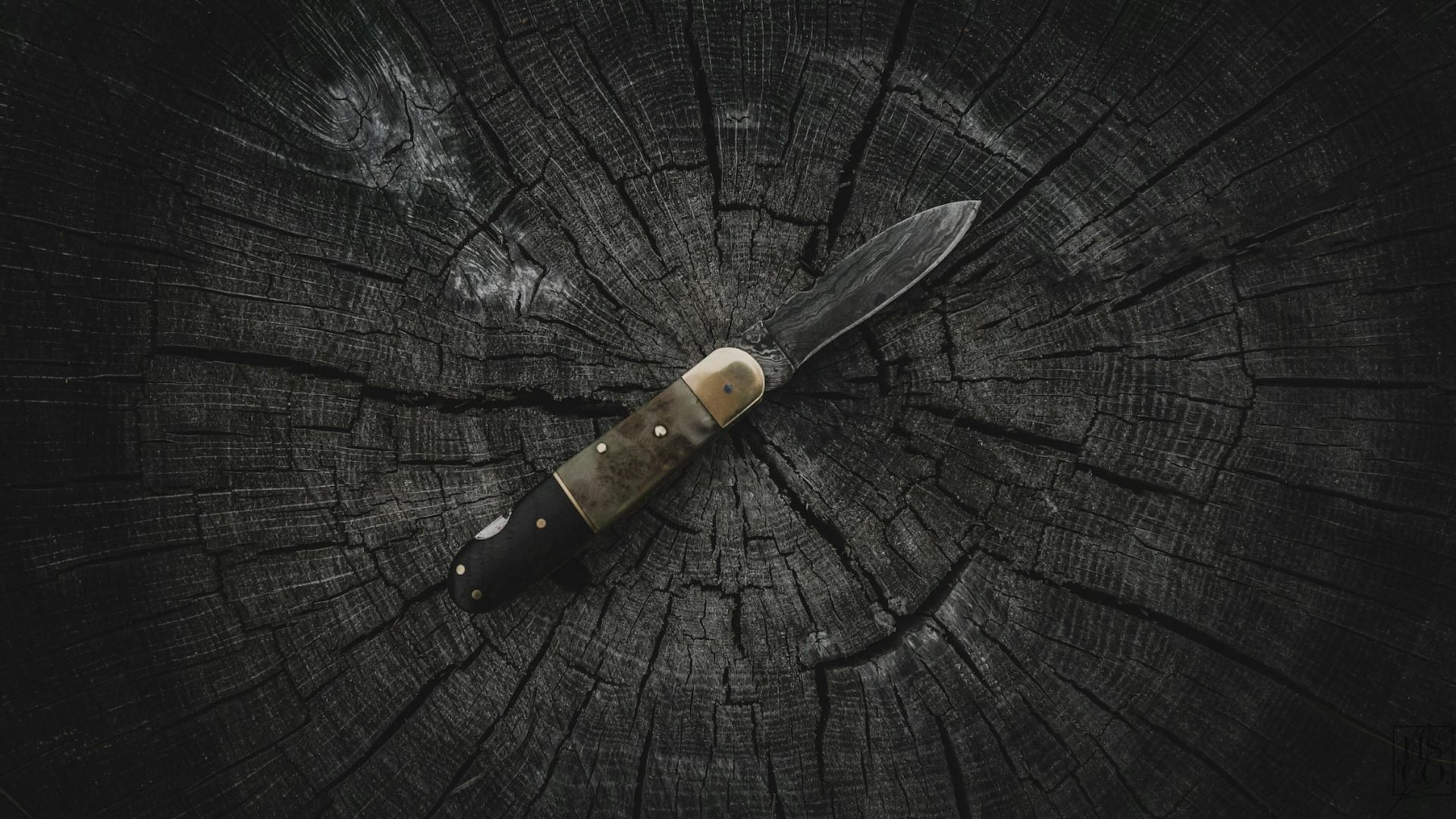 A foldable knife (Image via Pexels)
